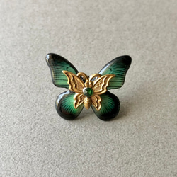 ピンブローチ: ザルモクシスオオアゲハ蝶 1枚目の画像