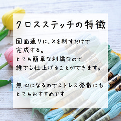 【初心者】クロスステッチ キット 季節を感じるクロスステッチサンプラー 7月夏の海　「イカリとヨット」 6枚目の画像