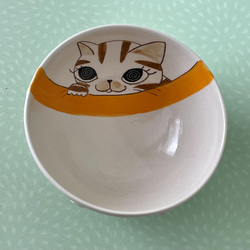 猫絵のご飯茶碗(何見てるの？茶トラ猫⭐️オレンジ) 2枚目の画像