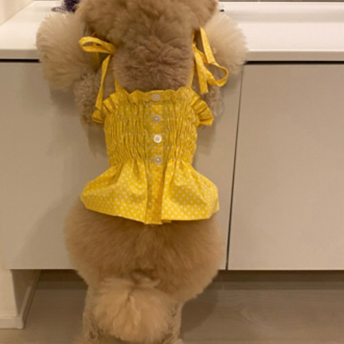 犬服キャミソールミニ ビスチェ ペット服・アクセサリー よんぽ