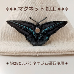 【蝶】　ナミアゲハ　ワッペン 2枚目の画像