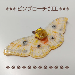 【蝶】　ナミアゲハ　ワッペン 3枚目の画像