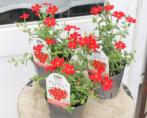 f608fdeb168af31fe31e088720416e