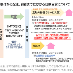 “免運費”全11種顏色【一起介紹6種移動口袋！ ] 全季透明 PVC 第14張的照片