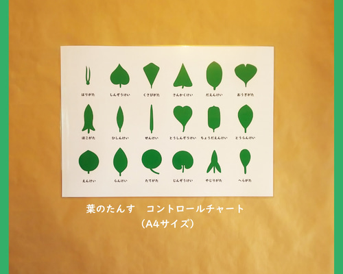 4f57aab4db829ea77af085e462772c