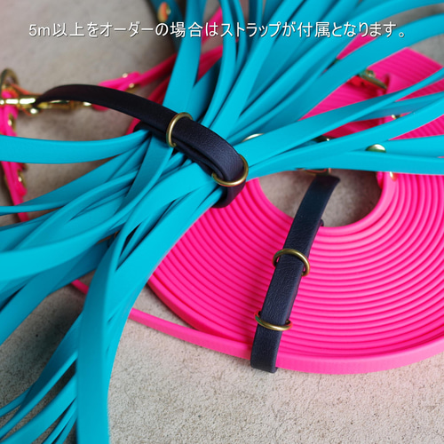 防水】ロングリード（ベルト幅：10ミリ） - biothane・真鍮 - リード