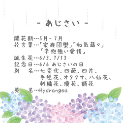 [面具用] 繡球花和雨滴碎片大頭針（Tsumami 作品 * 定制） 第7張的照片