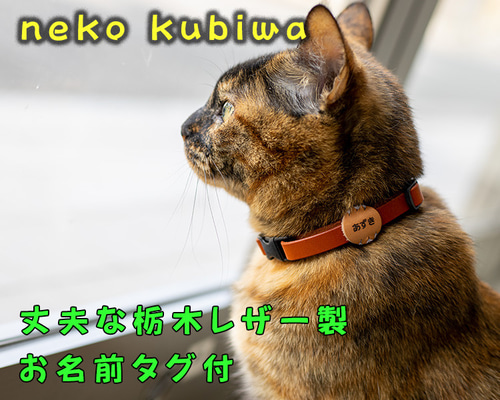 13f9ca0ac554abd408e229facf79c8