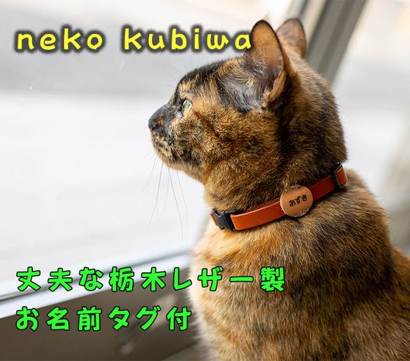 栃木レザー猫の首輪 お名前タグつき US製高品質安全バックル！ リード