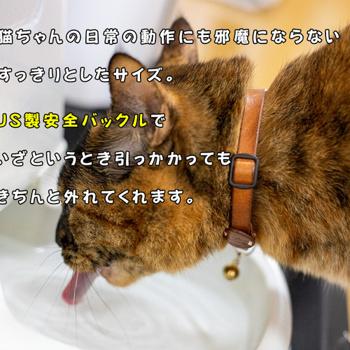 栃木レザー猫の首輪 お名前タグつき US製高品質安全バックル！ リード