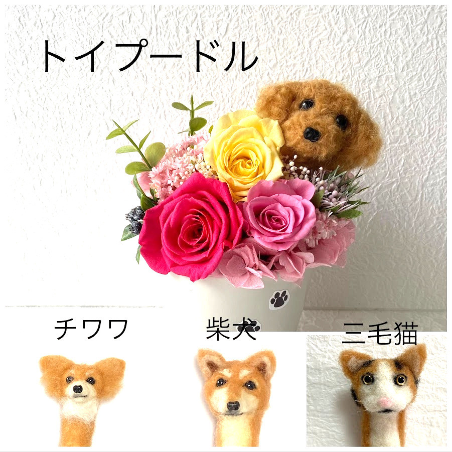 ちょこんと顔出すわんちゃん＆ プリザーブドフラワー /ペット 花