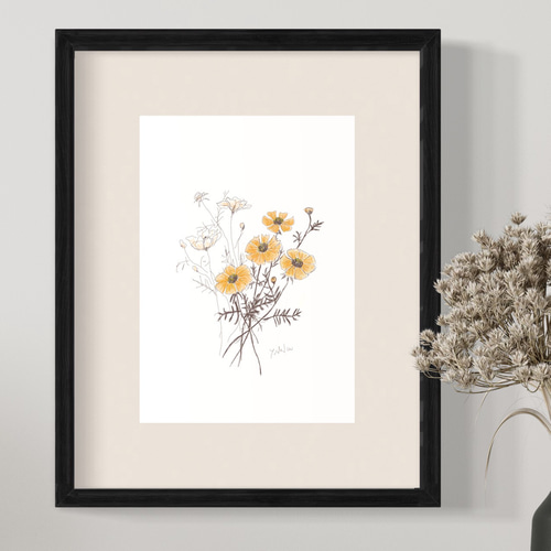 5月23日の誕生花 キバナコスモス 明るく楽しく過ごしましょう