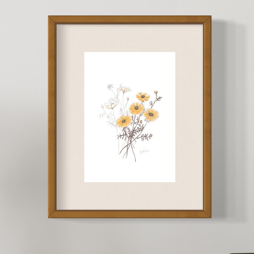 5月23日の誕生花 キバナコスモス 明るく楽しく過ごしましょう