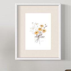 5月23日の誕生花 キバナコスモス 明るく楽しく過ごしましょう