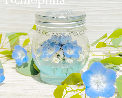 EVOLVE」【初回限定盤A】NEMOPHILA SHOP限定セット ＜サンダルM