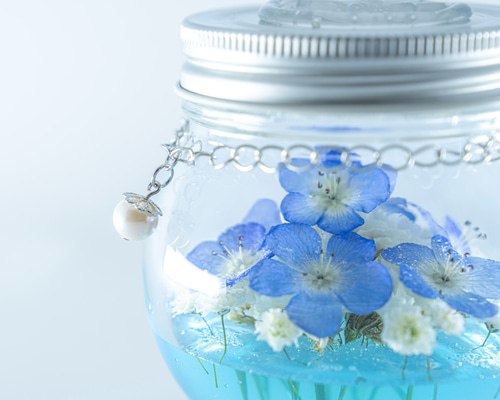 本物のネモフィラ】Round Nemophila ドライフラワー Shirogaruvi