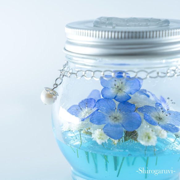 ボトルフラワー ネモフィラ アトリエRyoko 20cm×18cm お花 ドライ ボトルフラワー ネモフィラ アトリエRyoko 20cm×18cm お花 ドライ