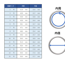 星巡りの指輪 シルバー　【12星座＋蛇使い座】【2号～28号対応】 14枚目の画像