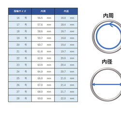 星巡りの指輪 シルバー　【12星座＋蛇使い座】【2号～28号対応】 15枚目の画像