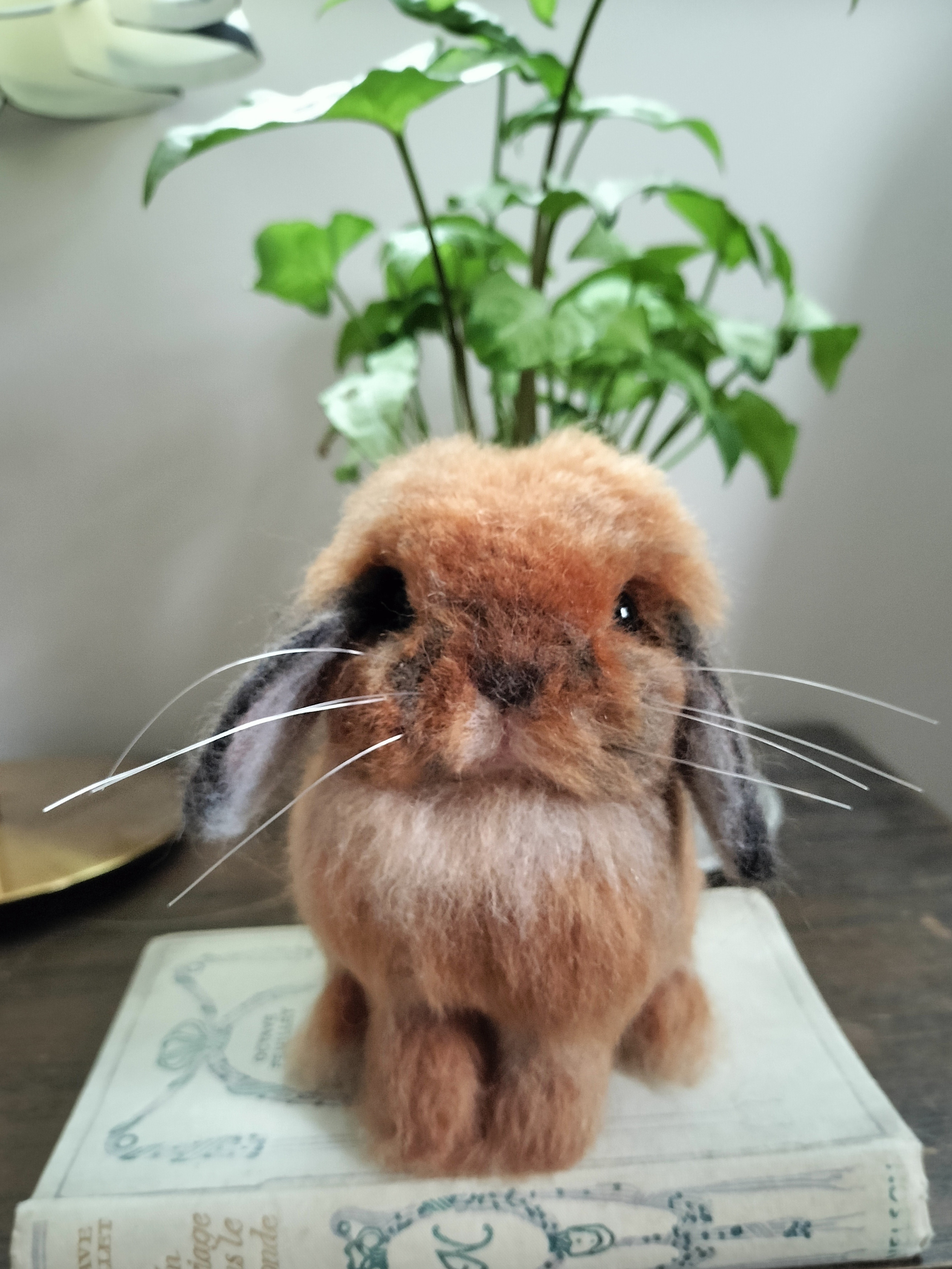 mia サンプルページ ラグドール ハンドメイド 羊毛フェルト 【公式通販】