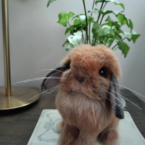 羊毛フェルトリアルうさぎ お座りホーランドロップ(トータス) 羊毛