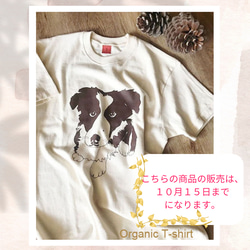 １０月１５日までの販売 お得な値段となりました お揃い オーガニックコットン チョコボーダーコリーTシャツ 男女兼用 1枚目の画像