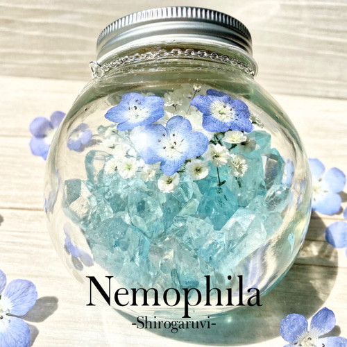 本物のネモフィラ】Crystal and Nemofwira水晶とネモフィラ