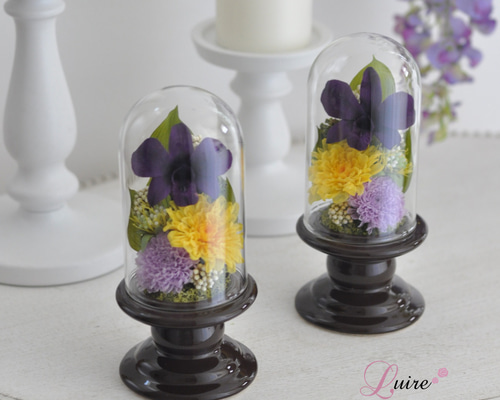 仏花　デンファレと大輪菊　プリザーブドフラワー　ガラスドーム（L）　華やか ガラスドーム仏花】ことね菊、デンファレの美しい 仏花、お供え花