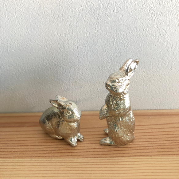 增加了新姿勢：錫兔也可以用作盆栽植物的點綴 第2張的照片