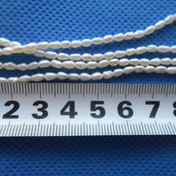 淡水真珠１連ロング５９センチ１本限定 3枚目の画像