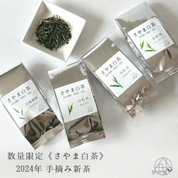 【数量限定】“4種のさやま白茶” 2023年手摘み 新茶 1枚目の画像