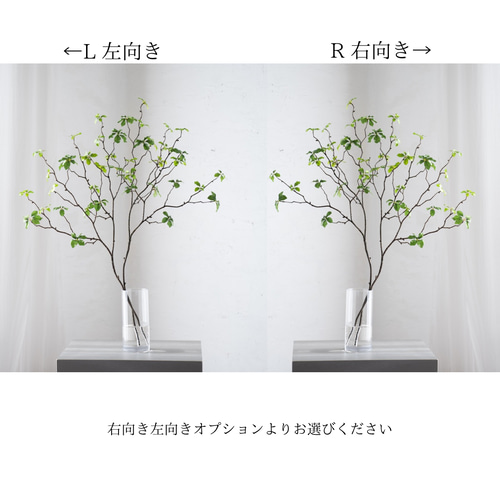 大型（水換え不要）ドウダンツツジの切り枝【二枝水挿し