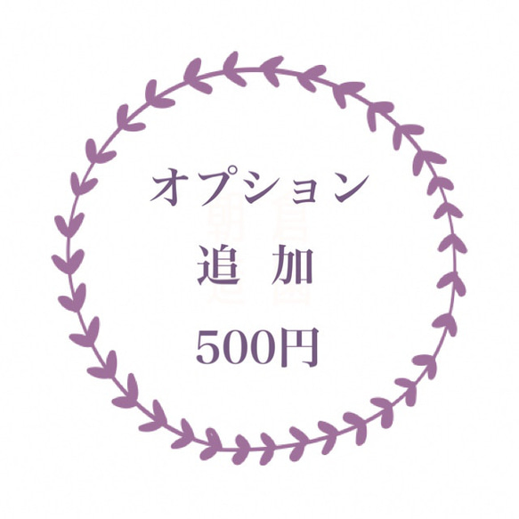 オプション 500円  追加料金分 1枚目の画像