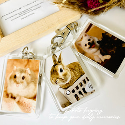 データフォルダにあるお写真で作成/ペット/記念/写真入りキーホルダー/フォトキーホルダー 2枚目の画像