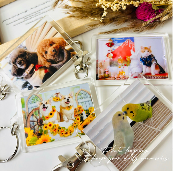 データフォルダにあるお写真で作成/ペット/記念/写真入りキーホルダー/フォトキーホルダー 1枚目の画像