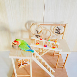 輪投げハシゴのバードアスレチック＆小鳥のポイ活セット ♪ おもちゃ