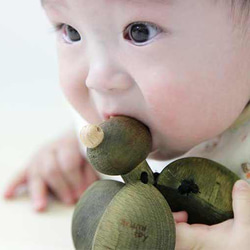 赤ちゃんガラガラ名前セット・木のおもちゃ・かえる・ベビー・安全・動物・出産祝い・ファーストトイ 7枚目の画像