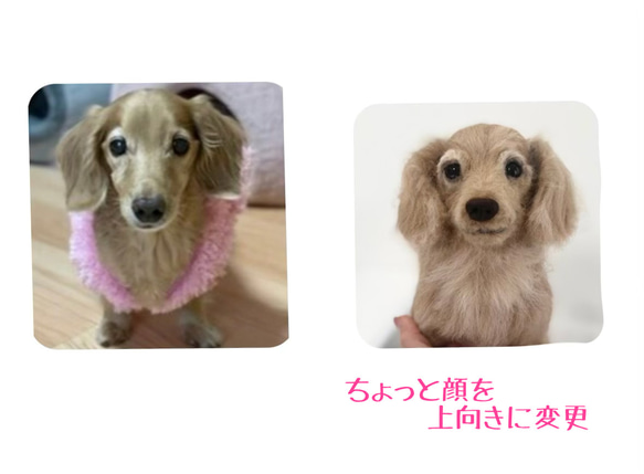 《受注製作》羊毛フェルト　犬♡うちの子製作♡オーダー 10枚目の画像