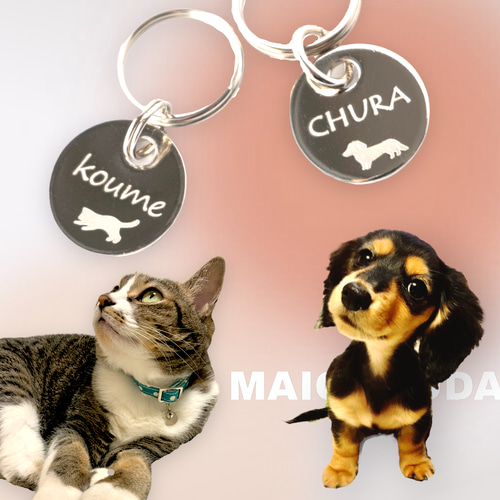 軽い 小さい迷子札15㎜シルバー☆猫 子猫ちゃん・犬ちゃん‼名入れ+