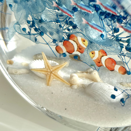 ホワイトサンド＆ネオンテトラ&カクレクマノミ/熱帯魚インテリア