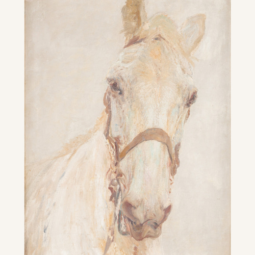 白馬 Hans Kohlschein アートポスター 名画 絵画 ポスター アート