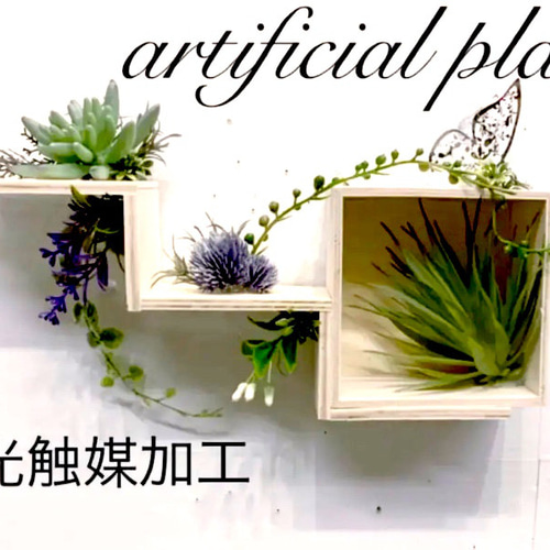 光触媒　人工観葉植物　抗菌消臭　ウォールグリーン　オーダー集 楽天市場】観葉植物 空気清浄 壁掛け インテリア 光触媒 消臭 フェイク