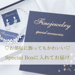 【送料無料・SpcialBox付】P015N009　2点セット 8枚目の画像