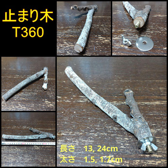 止まり木（枝：TOY-08-015）T360 1枚目の画像