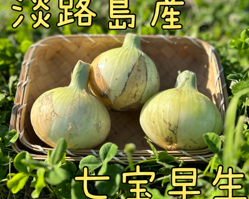 b4b37a6f2e09fe485ce0aa50738daf