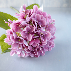 【リアル造花】選べる2色ブルーとピンクの紫陽花1本売り 4枚目の画像