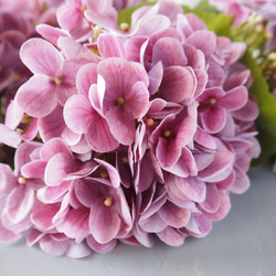 【リアル造花】選べる2色ブルーとピンクの紫陽花1本売り 8枚目の画像