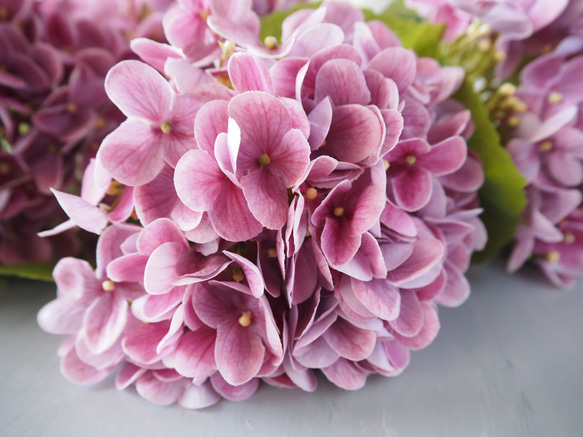 【リアル造花】選べる2色ブルーとピンクの紫陽花1本売り 8枚目の画像