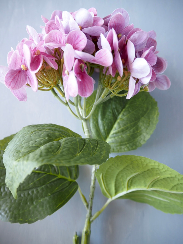 【リアル造花】選べる2色ブルーとピンクの紫陽花1本売り 3枚目の画像