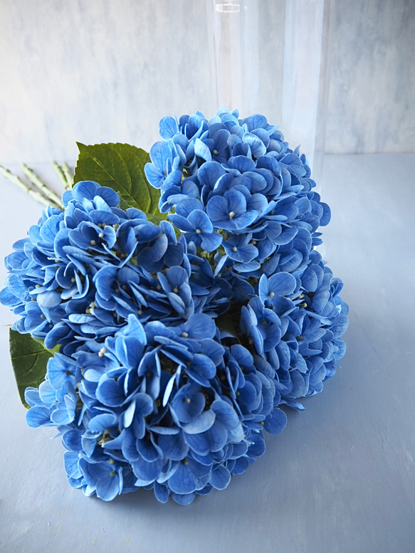 【リアル造花】選べる2色ブルーとピンクの紫陽花1本売り 11枚目の画像